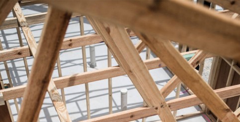 Bilde for kategori Tre